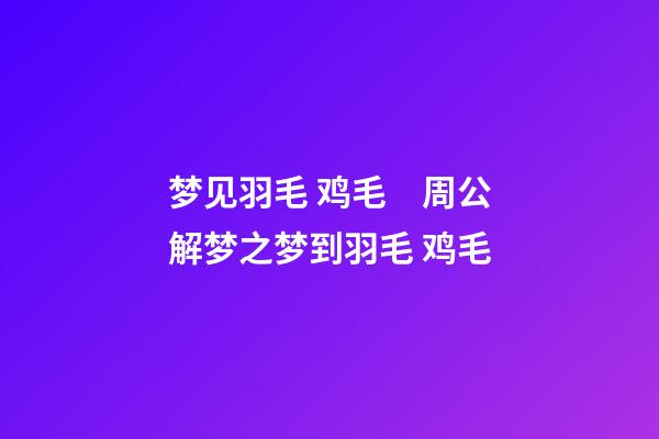 梦见羽毛 鸡毛　周公解梦之梦到羽毛 鸡毛